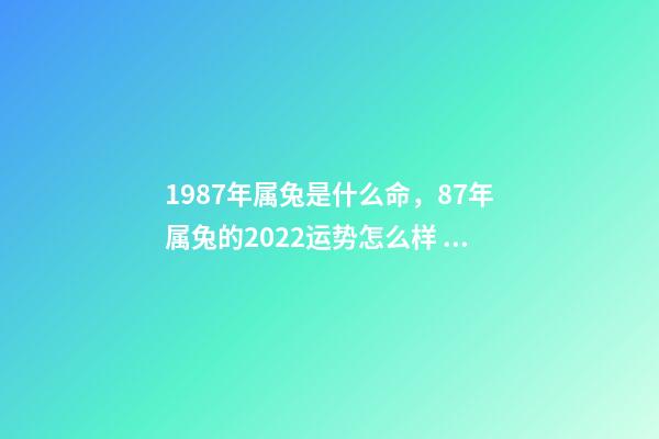 1987年属兔是什么命，87年属兔的2022运势怎么样 1987年属兔人2022年运势运程 1987年属兔人2022年运势好不好-第1张-观点-玄机派